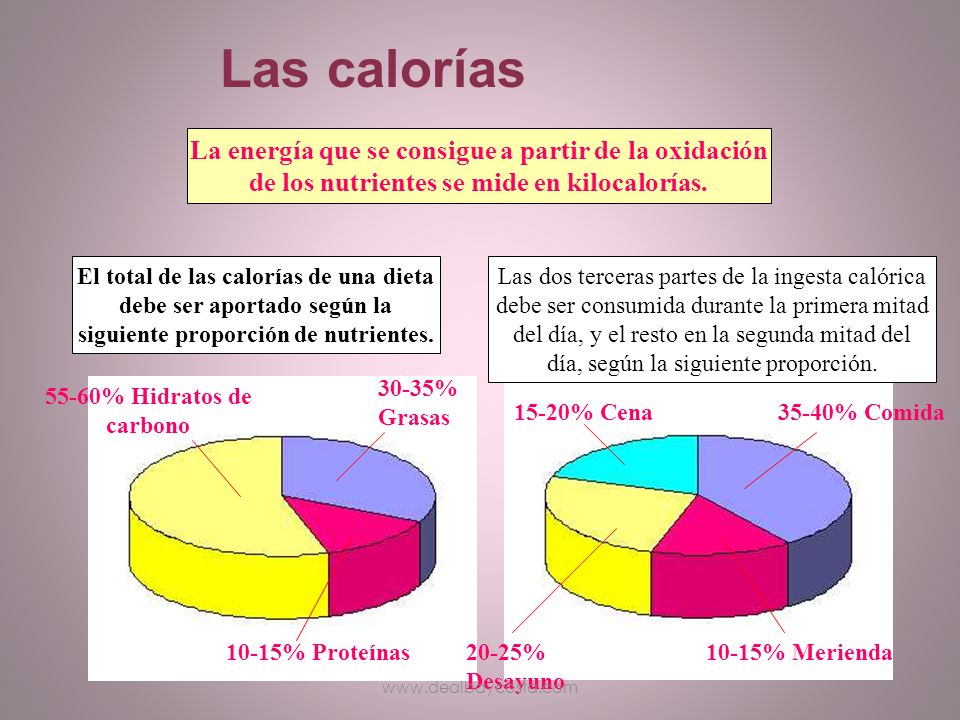 Como se miden las calorias de alimentos
